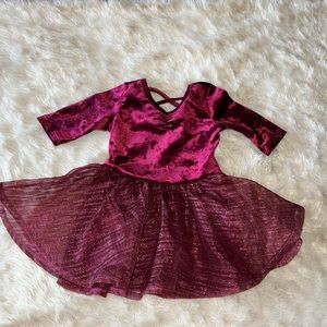 Smile dot dot Burgundy ballet velour dress